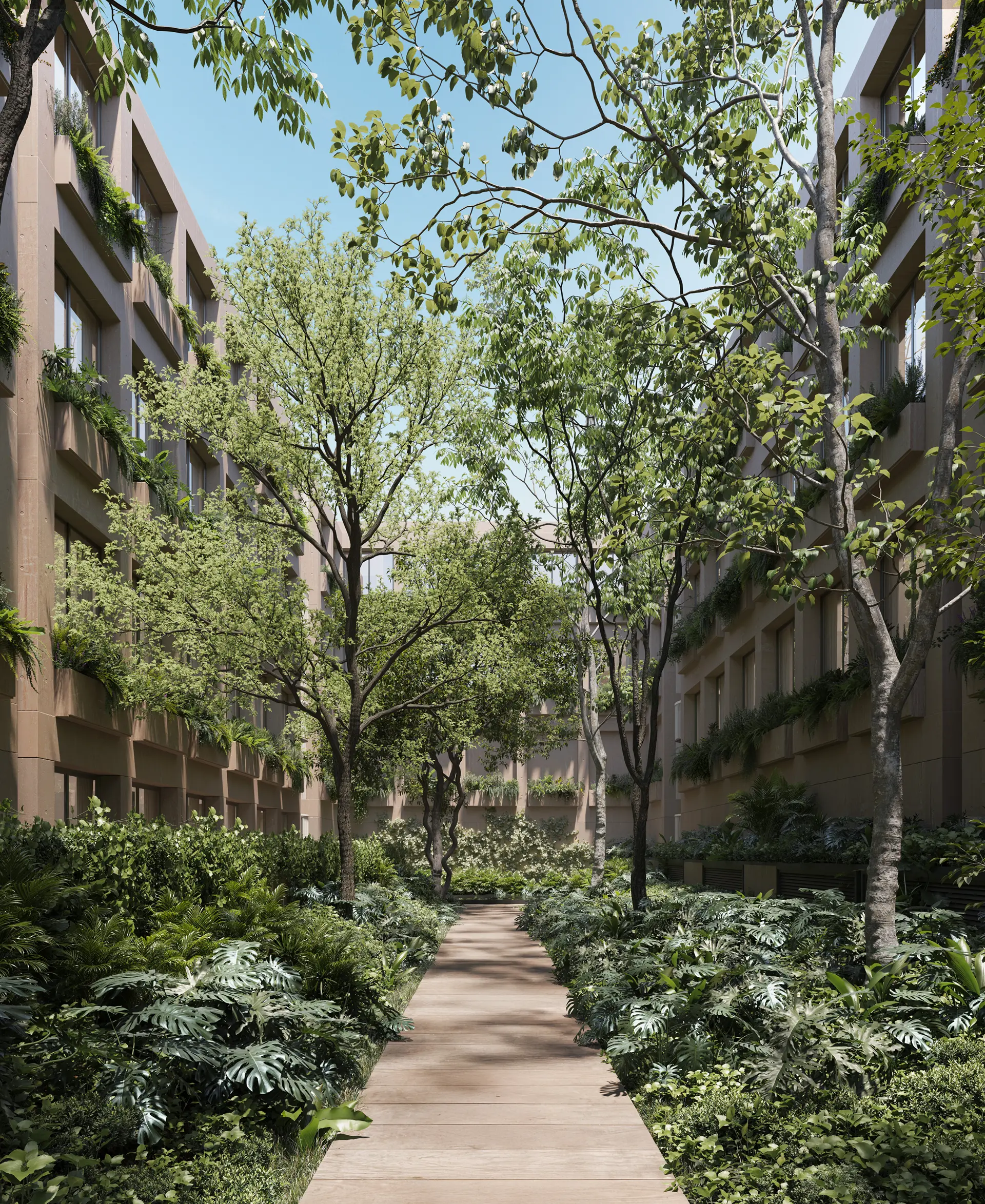 Jardin Interior 1 (2)